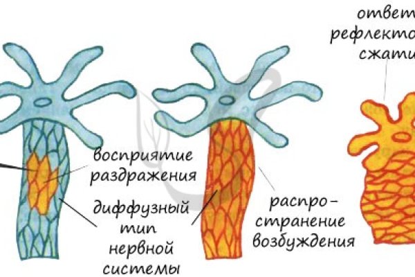 Кракен сайт 18at