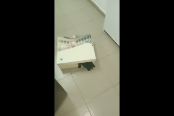 Кракен маркетплейс купить порошок