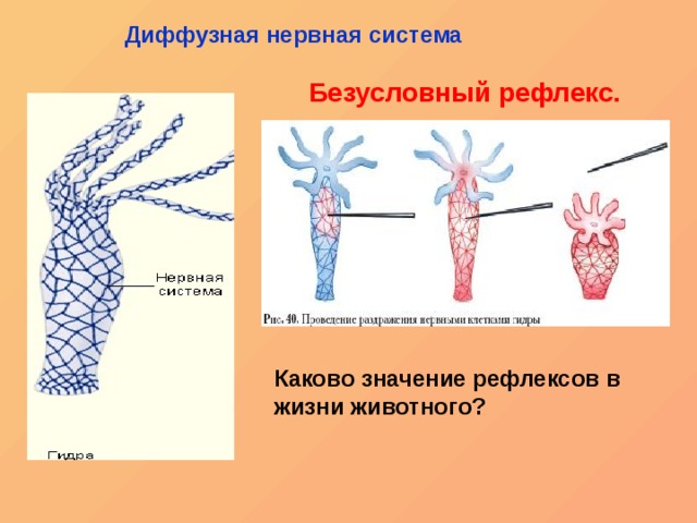 Правильная ссылка онион кракен