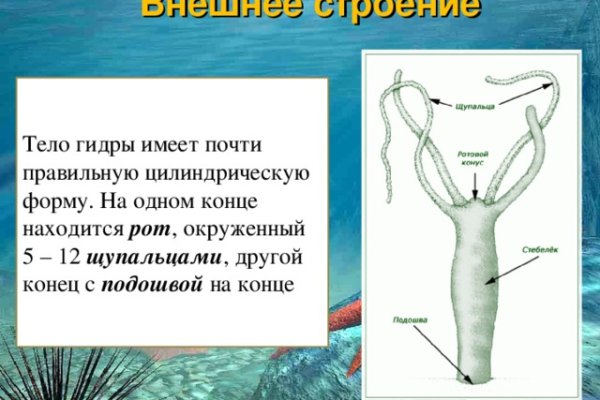 Через какой браузер заходить на кракен
